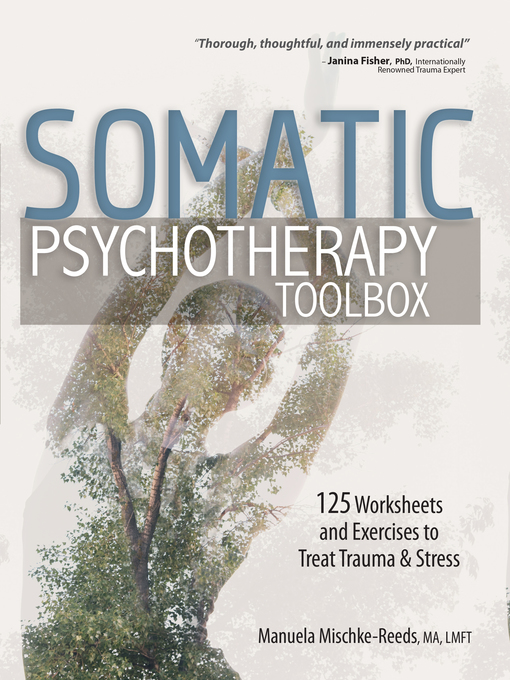 Cover image for Somatic Psychotherapy Toolbox